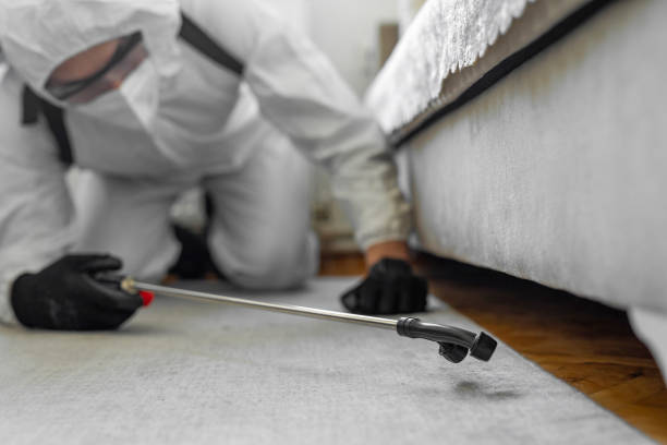 Professional Termite Control technician working in Edneyville, NC