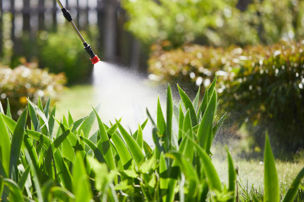 24/7 Emergency Termite Control experts in Edneyville, NC